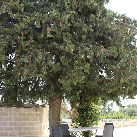 Trullo Fiorino Holiday home Cisternino